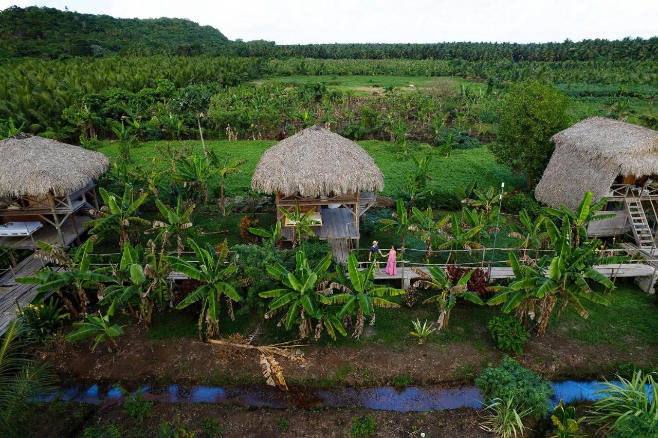 Samana Ecolodge El Limon Bagian luar foto