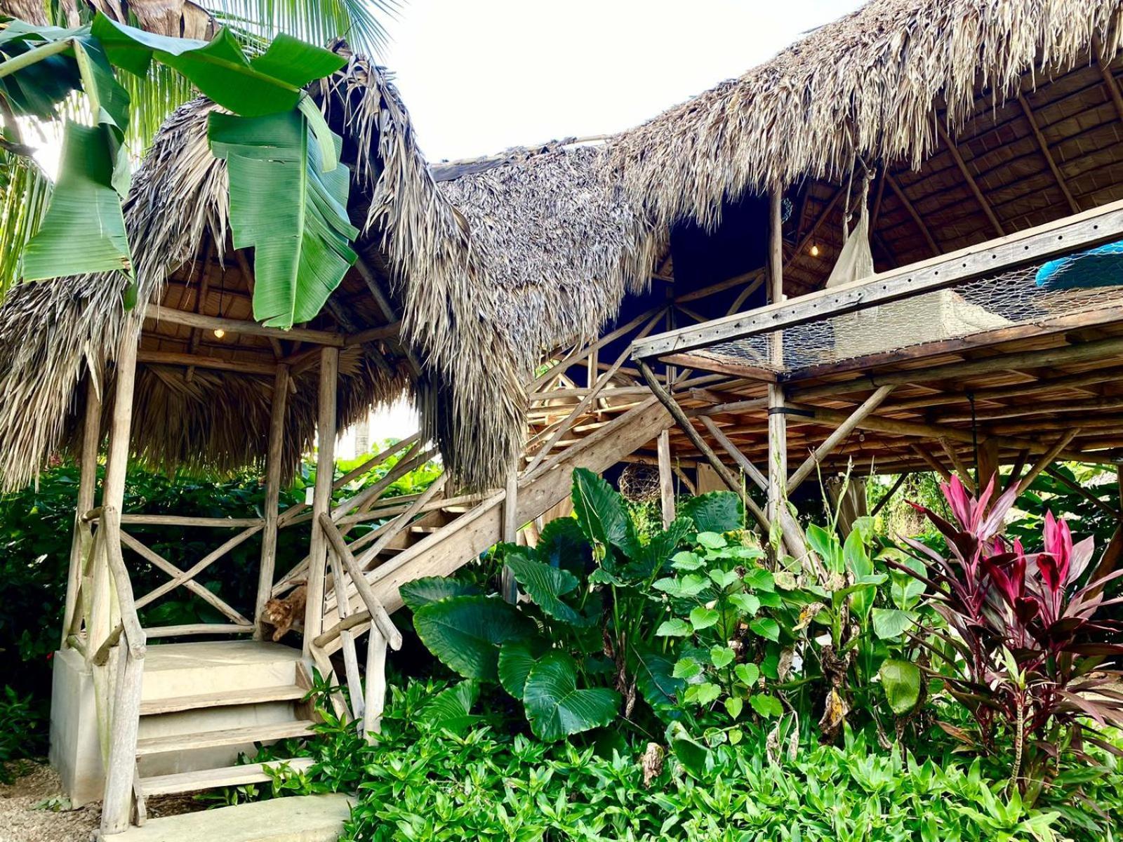 Samana Ecolodge El Limon Bagian luar foto