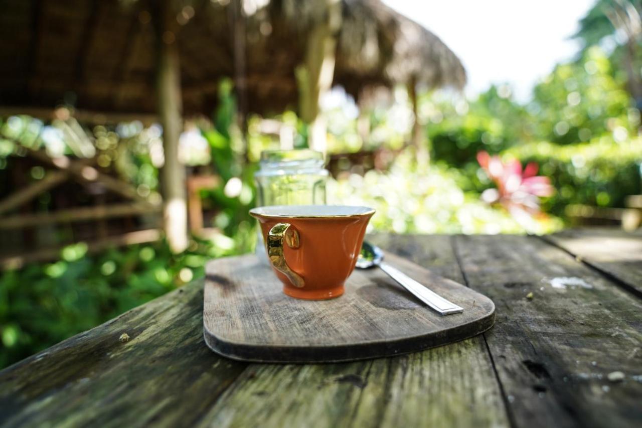 Samana Ecolodge El Limon Bagian luar foto