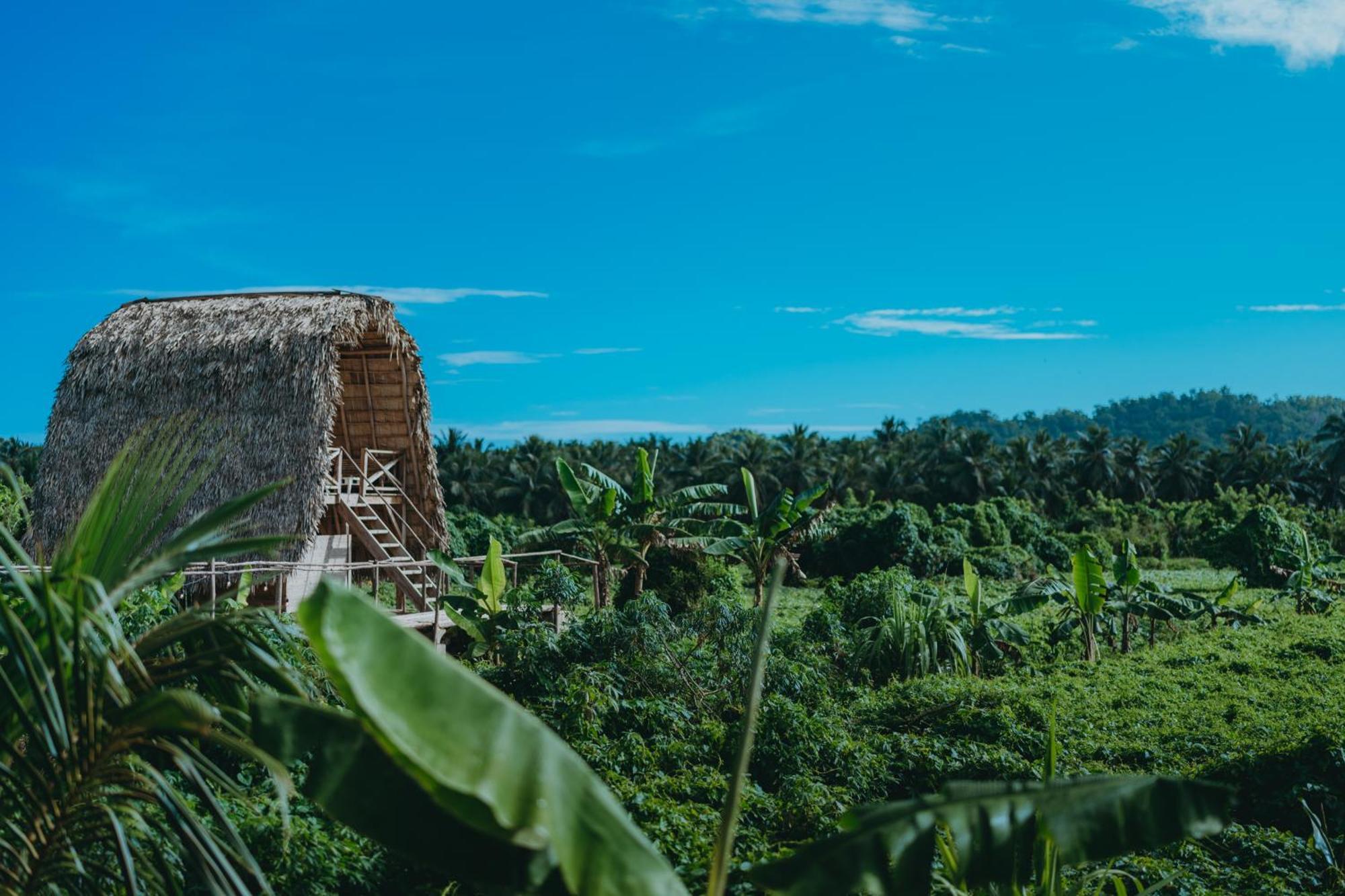 Samana Ecolodge El Limon Bagian luar foto