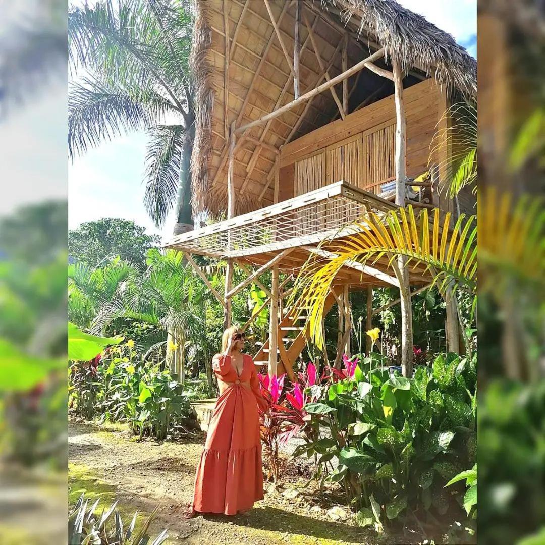 Samana Ecolodge El Limon Bagian luar foto