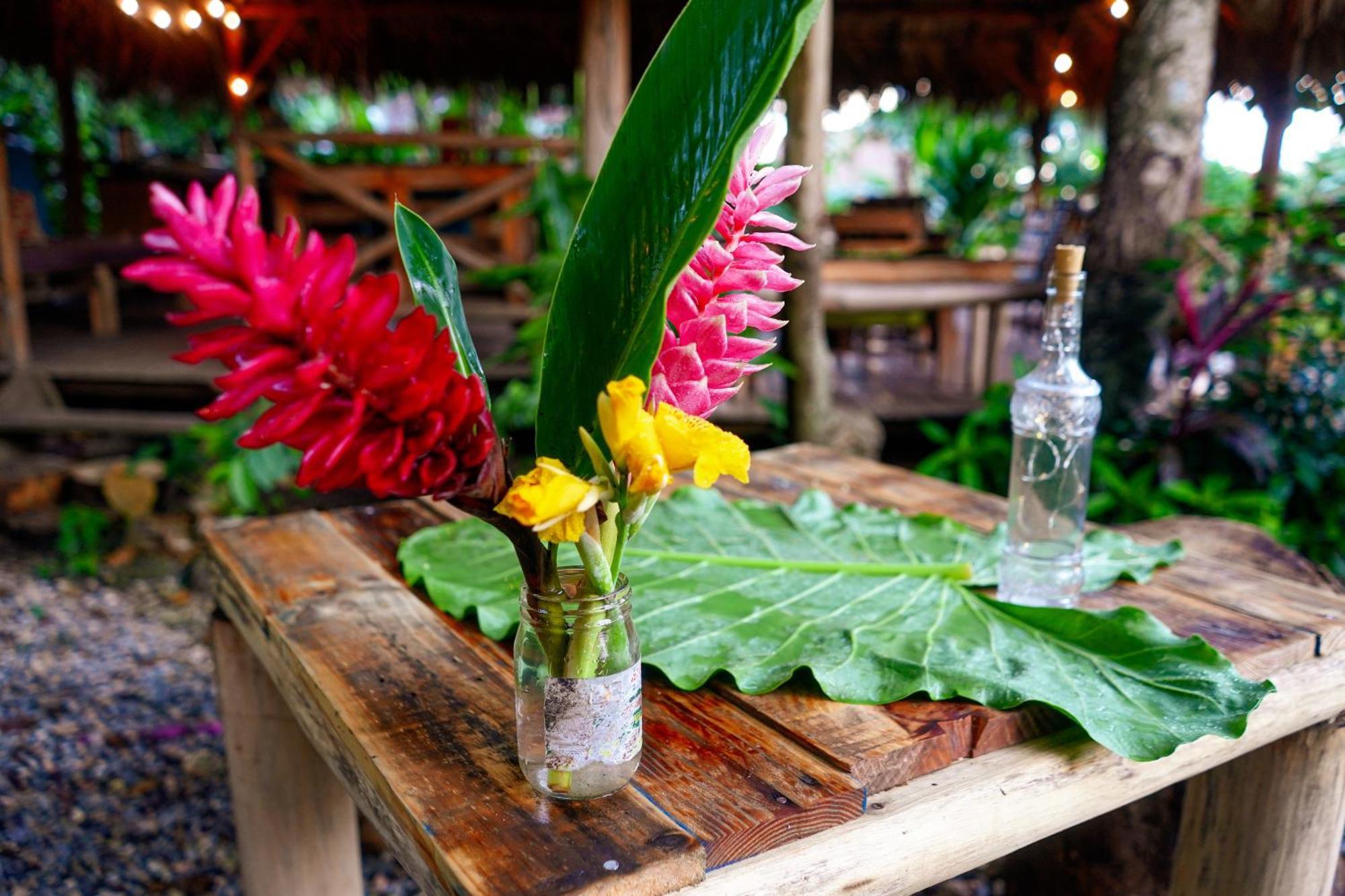 Samana Ecolodge El Limon Bagian luar foto