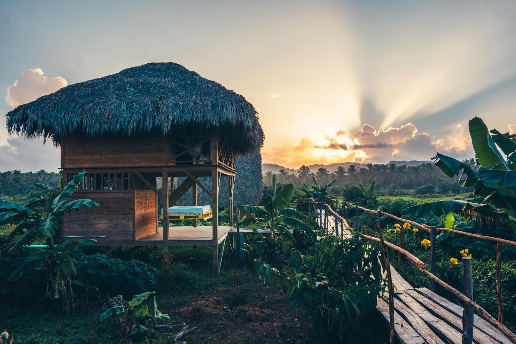 Samana Ecolodge El Limon Bagian luar foto